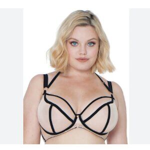 CURVY KATE SCANTILLY Knock Out Plunge Bra Underwire NWT 32H Sexy UnlinedLingerie